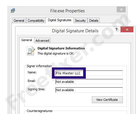 Screenshot of the File Master LLC certificate